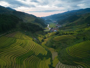 Taze çeltik pirinç teraslarının havadan görünüşü, Mu Cang Chai 'nin kırsal ya da kırsal kesimindeki yeşil tarım alanları, Asya' daki dağ tepeleri vadisi, Vietnam. Doğa manzarası arka planı.
