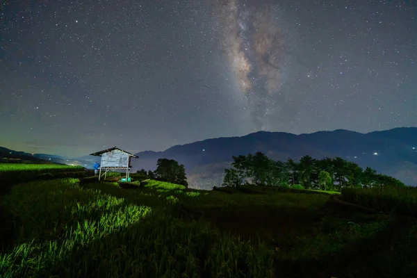 新鮮な水田の棚田と天の川と宇宙の星 ムー倉チャイ アジア ベトナムの山の丘の谷の田舎や農村部の緑の農業分野 夜の自然景観 — ストック写真