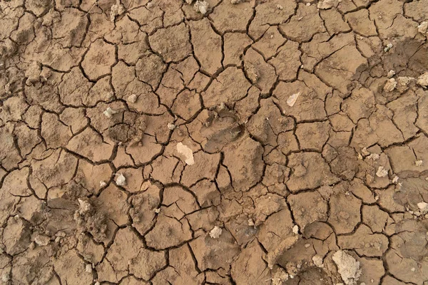 Suelo Seco Agrietado Tierra Con Arena Arrozal Grave Escasez Agua — Foto de Stock