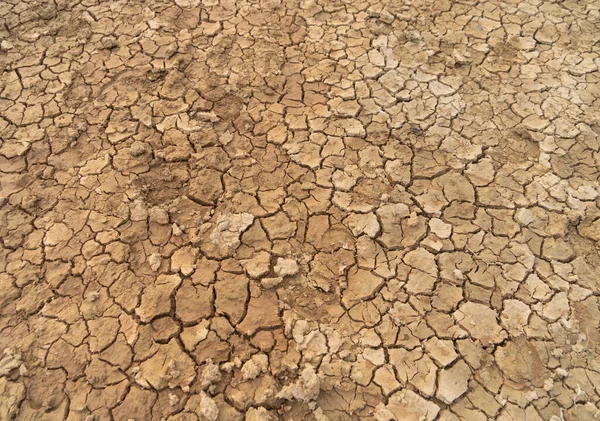 水田の砂で土地の乾燥した地面の大まかな亀裂 深刻な水不足と干ばつ不毛の乾燥パターンのテクスチャの背景 — ストック写真