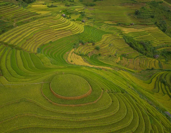 アジア ベトナムのムー倉チャイ 山の丘の谷の田舎や農村部の新鮮な水田棚田 緑の農業分野の空中トップビュー 自然景観の背景 — ストック写真