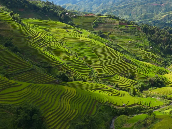 stock image Aerial top view of fresh paddy rice terraces, green agricultural fields in countryside or rural area of Mu Cang Chai, mountain hills valley in Asia, Vietnam. Nature landscape background.