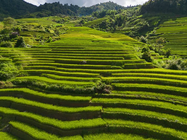 stock image Aerial top view of fresh paddy rice terraces, green agricultural fields in countryside or rural area of Mu Cang Chai, mountain hills valley in Asia, Vietnam. Nature landscape background.