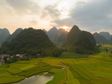 Taze çeltik pirinç terasları, Cao Bang 'in kırsal ya da kırsal kesimindeki yeşil tarım alanları, Asya' daki dağ tepeleri vadisi, Vietnam, Çin sınırı. Doğa manzarası arka planı.