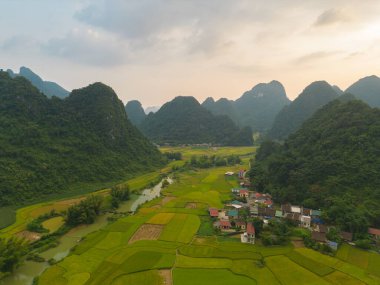 Taze çeltik pirinç terasları, Cao Bang 'in kırsal ya da kırsal kesimindeki yeşil tarım alanları, Asya' daki dağ tepeleri vadisi, Vietnam, Çin sınırı. Doğa manzarası arka planı.