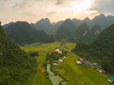 Taze çeltik pirinç terasları, Cao Bang 'in kırsal ya da kırsal kesimindeki yeşil tarım alanları, Asya' daki dağ tepeleri vadisi, Vietnam, Çin sınırı. Doğa manzarası arka planı.