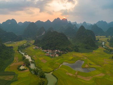 Taze çeltik pirinç terasları, Cao Bang 'in kırsal ya da kırsal kesimindeki yeşil tarım alanları, Asya' daki dağ tepeleri vadisi, Vietnam, Çin sınırı. Doğa manzarası arka planı.