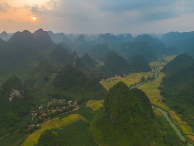 Taze çeltik pirinç terasları, Cao Bang 'in kırsal ya da kırsal kesimindeki yeşil tarım alanları, Asya' daki dağ tepeleri vadisi, Vietnam, Çin sınırı. Doğa manzarası arka planı.