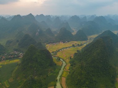 Taze çeltik pirinç terasları, Cao Bang 'in kırsal ya da kırsal kesimindeki yeşil tarım alanları, Asya' daki dağ tepeleri vadisi, Vietnam, Çin sınırı. Doğa manzarası arka planı.