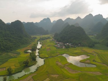 Taze çeltik pirinç terasları, Cao Bang 'in kırsal ya da kırsal kesimindeki yeşil tarım alanları, Asya' daki dağ tepeleri vadisi, Vietnam, Çin sınırı. Doğa manzarası arka planı.