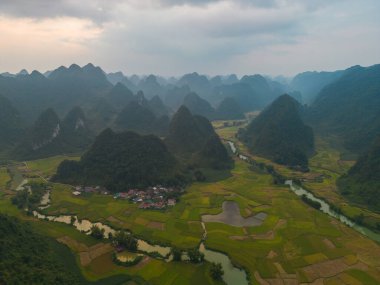Taze çeltik pirinç terasları, Cao Bang 'in kırsal ya da kırsal kesimindeki yeşil tarım alanları, Asya' daki dağ tepeleri vadisi, Vietnam, Çin sınırı. Doğa manzarası arka planı.