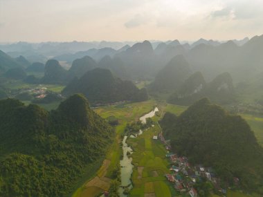 Taze çeltik pirinç terasları, Cao Bang 'in kırsal ya da kırsal kesimindeki yeşil tarım alanları, Asya' daki dağ tepeleri vadisi, Vietnam, Çin sınırı. Doğa manzarası arka planı.