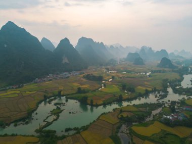 Taze çeltik pirinç terasları, Cao Bang 'in kırsal ya da kırsal kesimindeki yeşil tarım alanları, Asya' daki dağ tepeleri vadisi, Vietnam, Çin sınırı. Doğa manzarası arka planı.