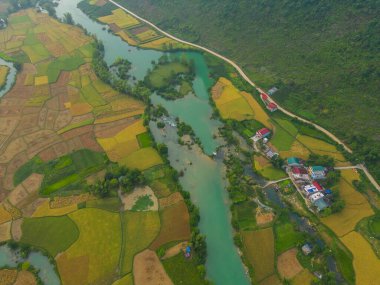 Taze çeltik pirinç terasları, Cao Bang 'in kırsal ya da kırsal kesimindeki yeşil tarım alanları, Asya' daki dağ tepeleri vadisi, Vietnam, Çin sınırı. Doğa manzarası arka planı.