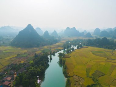 Taze çeltik pirinç terasları, Cao Bang 'in kırsal ya da kırsal kesimindeki yeşil tarım alanları, Asya' daki dağ tepeleri vadisi, Vietnam, Çin sınırı. Doğa manzarası arka planı.