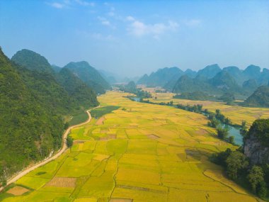 Taze çeltik pirinç terasları, Cao Bang 'in kırsal ya da kırsal kesimindeki yeşil tarım alanları, Asya' daki dağ tepeleri vadisi, Vietnam, Çin sınırı. Doğa manzarası arka planı.