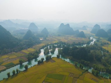 Taze çeltik pirinç terasları, Cao Bang 'in kırsal ya da kırsal kesimindeki yeşil tarım alanları, Asya' daki dağ tepeleri vadisi, Vietnam, Çin sınırı. Doğa manzarası arka planı.