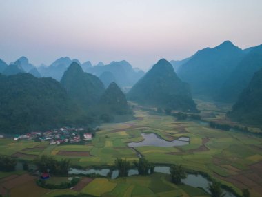 Taze çeltik pirinç terasları, Cao Bang 'in kırsal ya da kırsal kesimindeki yeşil tarım alanları, Asya' daki dağ tepeleri vadisi, Vietnam, Çin sınırı. Doğa manzarası arka planı.