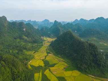 Taze çeltik pirinç terasları, Cao Bang 'in kırsal ya da kırsal kesimindeki yeşil tarım alanları, Asya' daki dağ tepeleri vadisi, Vietnam, Çin sınırı. Doğa manzarası arka planı.
