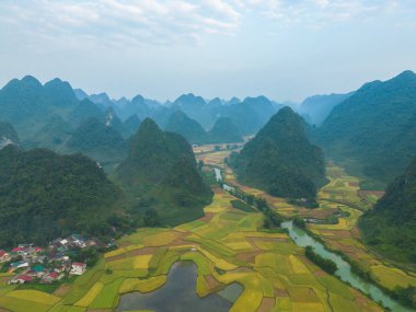 Taze çeltik pirinç terasları, Cao Bang 'in kırsal ya da kırsal kesimindeki yeşil tarım alanları, Asya' daki dağ tepeleri vadisi, Vietnam, Çin sınırı. Doğa manzarası arka planı.