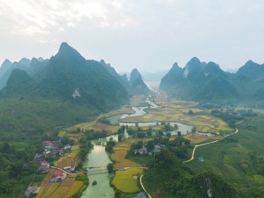 Taze çeltik pirinç terasları, Cao Bang 'in kırsal ya da kırsal kesimindeki yeşil tarım alanları, Asya' daki dağ tepeleri vadisi, Vietnam, Çin sınırı. Doğa manzarası arka planı.