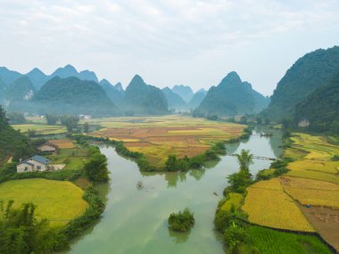 Taze çeltik pirinç terasları, Cao Bang 'in kırsal ya da kırsal kesimindeki yeşil tarım alanları, Asya' daki dağ tepeleri vadisi, Vietnam, Çin sınırı. Doğa manzarası arka planı.