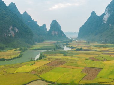 Taze çeltik pirinç terasları, Cao Bang 'in kırsal ya da kırsal kesimindeki yeşil tarım alanları, Asya' daki dağ tepeleri vadisi, Vietnam, Çin sınırı. Doğa manzarası arka planı.