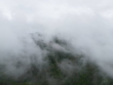 Orman ağaçlarının ve sisli, bulutlu yeşil dağ tepelerinin havadan görünüşü. Doğa manzarası arka planı, Tayland.