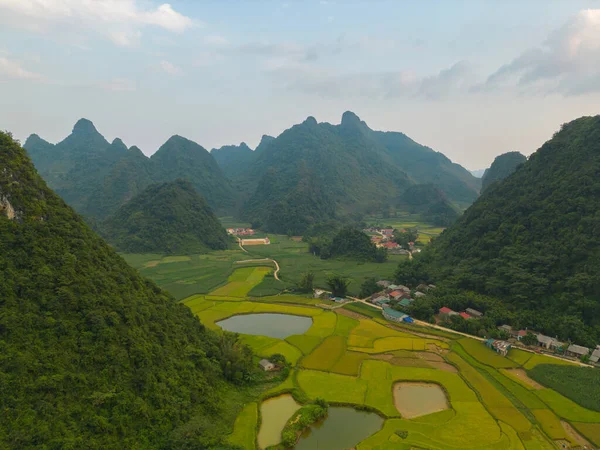 Topputsikt Ferske Risterrasser Grønne Landbruksområder Landet Eller Landsbygda Cao Bang – stockfoto