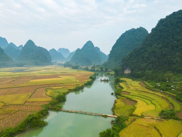 계단식논 시골이나 지역의 농경지 아시아 베트남 국경에 지대등을 공중에서 수있다 — 스톡 사진