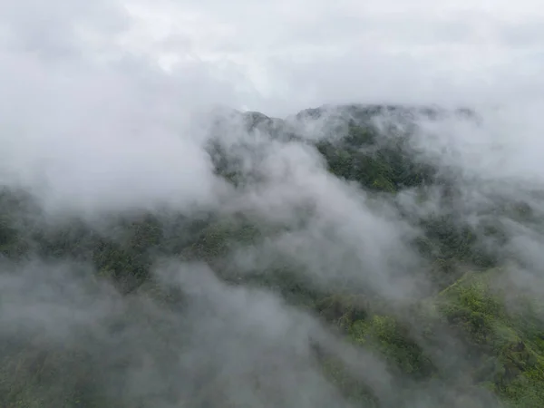 Vista Aérea Superior Árvores Florestais Colinas Verdes Com Nevoeiro Névoa — Fotografia de Stock