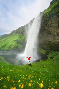 İzlanda 'da yaz mevsiminde Seljalandsfoss şelalesi. Ünlü doğa manzarası arka planı