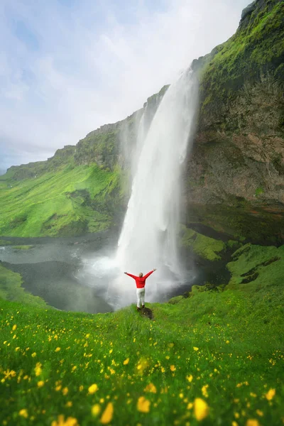 Cachoeira Seljalandsfoss Temporada Verão Islândia Famosa Natureza Paisagem Fundo — Fotografia de Stock