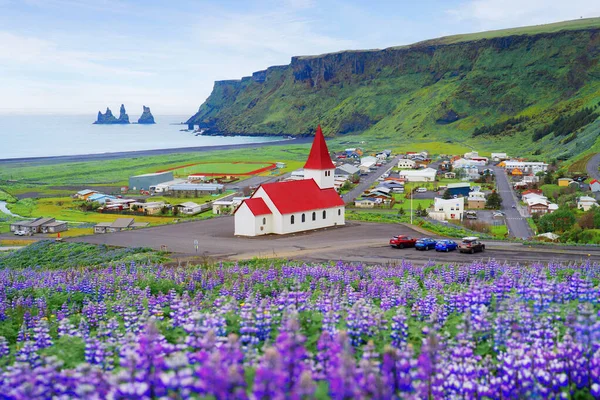 Εκκλησία Reyniskirkja Λούπινα Λουλούδια Στην Πόλη Vik Κατά Θερινή Περίοδο — Φωτογραφία Αρχείου