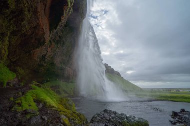 İzlanda 'da yaz mevsiminde Seljalandsfoss şelalesi. Ünlü doğa manzarası arka planı