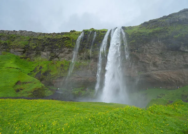 アイスランドの夏の季節にSeljalandsfoss滝 有名な自然景観の背景 — ストック写真