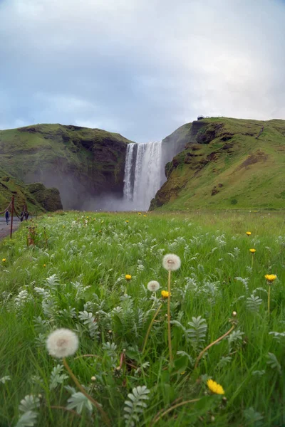 Skogafossův Vodopád Letní Sezóně Islandu Slavné Přírodní Krajina Pozadí — Stock fotografie