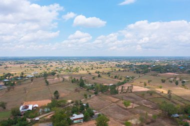 Taze çeltik pirincinin havadan görünüşü, Asya, Tayland kırsallarındaki yeşil tarım alanları. Doğa manzarası