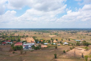 Taze çeltik pirincinin havadan görünüşü, Asya, Tayland kırsallarındaki yeşil tarım alanları. Doğa manzarası