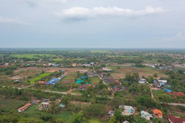 Taze çeltik pirincinin havadan görünüşü, Asya, Tayland kırsallarındaki yeşil tarım alanları. Doğa manzarası