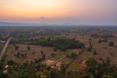 Taze çeltik pirincinin havadan görünüşü, Asya, Tayland kırsallarındaki yeşil tarım alanları. Doğa manzarası