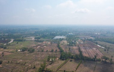 Taze çeltik pirincinin havadan görünüşü, Asya, Tayland kırsallarındaki yeşil tarım alanları. Doğa manzarası