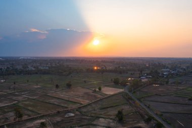 Taze çeltik pirincinin havadan görünüşü, Asya, Tayland kırsallarındaki yeşil tarım alanları. Doğa manzarası