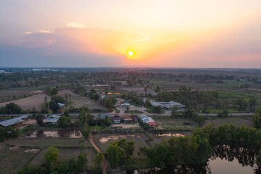 Taze çeltik pirincinin havadan görünüşü, Asya, Tayland kırsallarındaki yeşil tarım alanları. Doğa manzarası