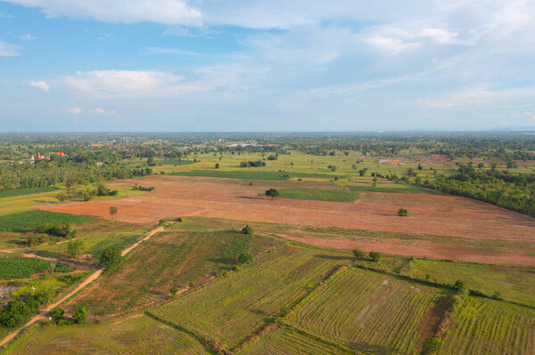 Вид сверху на свежий рис, зеленые сельскохозяйственные поля в сельской местности или сельской местности в Азии, Таиланде. Природа