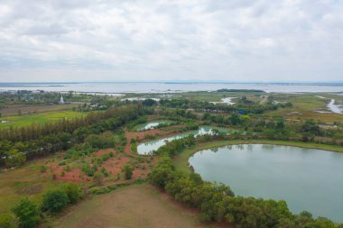 Yeşil orman ağaçları, nehir, gölet ya da göl olan bir bahçe parkının havadan görünüşü. Doğa manzarası arka planı, Tayland.