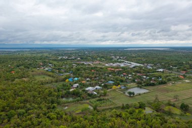 Yaz mevsiminde ulusal parktaki tropikal ormanın yukarısından yemyeşil ağaçların havadan görünüşü. Doğa manzarası. Desen dokusu arkaplanı.