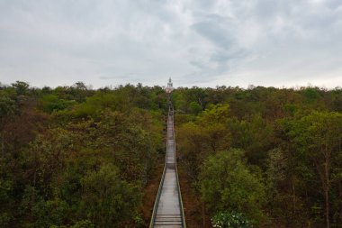 Wat Phra Bat Phu Pan Kham, Tayland 'ın başkenti Khon Kaen' de bir Budist tapınağıdır. Tayland mimarisi arka planı. Turistik bölge simgesi.