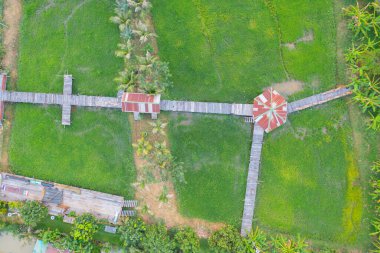 Göl kenarındaki taze çeltik tarlaları, kafedeki evler, Tayland 'daki kırsal ya da kırsal alanlardaki yeşil tarlalar. Doğa manzarası arka planı.