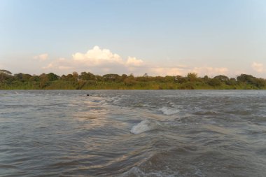 Göl ya da nehir suyu raftingi, parkta tekne kanalında kürek çekmek. Mae Sot, Tak, Tayland 'daki orman ağaçlarını gezmek. Doğa manzarası. Turist macera aktivitesi. Tatilde seyahat.
